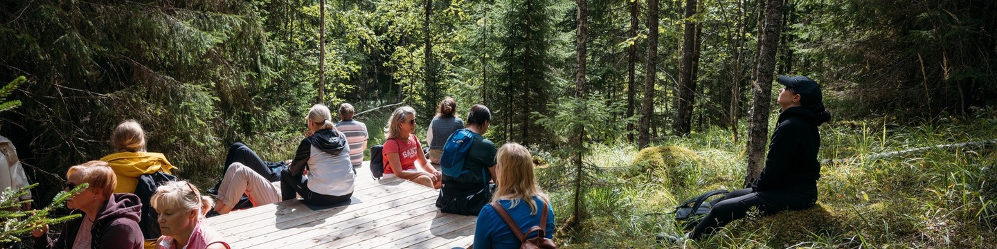 kuvituskuva metsässä oleskelijoista