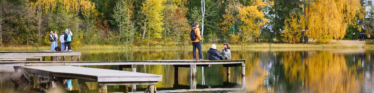 Järvenranta